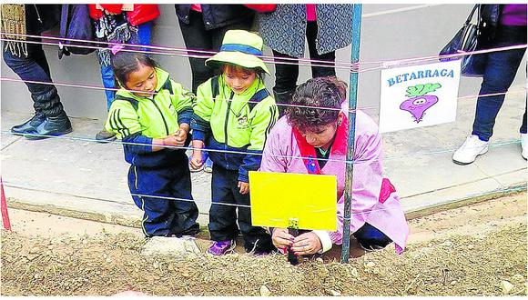 Huancayo: niños combaten el hambre con huertos escolares