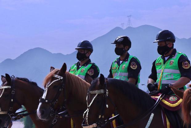 Los caballos de la unidad policial también son utilizados para equinoterapia para niños.
