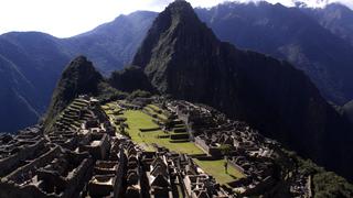 Al descubierto nuevas especies de orquídea y lagarto en Machupicchu