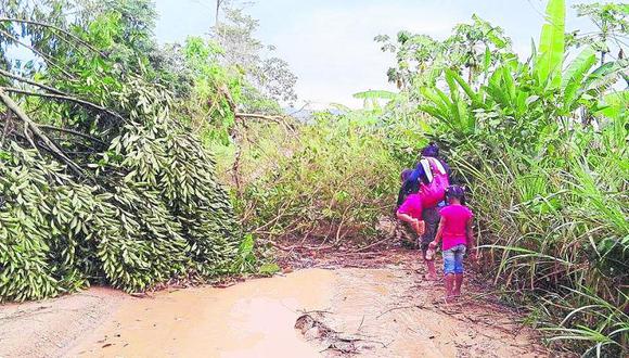Aucayacu: lluvias y huracanes arrasan con viviendas y sembríos 