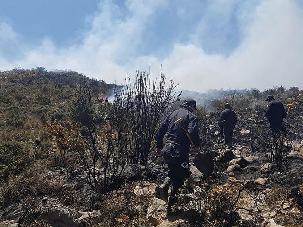 Incendio llegó al Bosque de los Queñuales en el volcán Pichu Pichu (FOTOS)