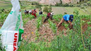 OCI de Agro Rural no es un órgano determinante para anular compra de fertilizantes, advierte especialista