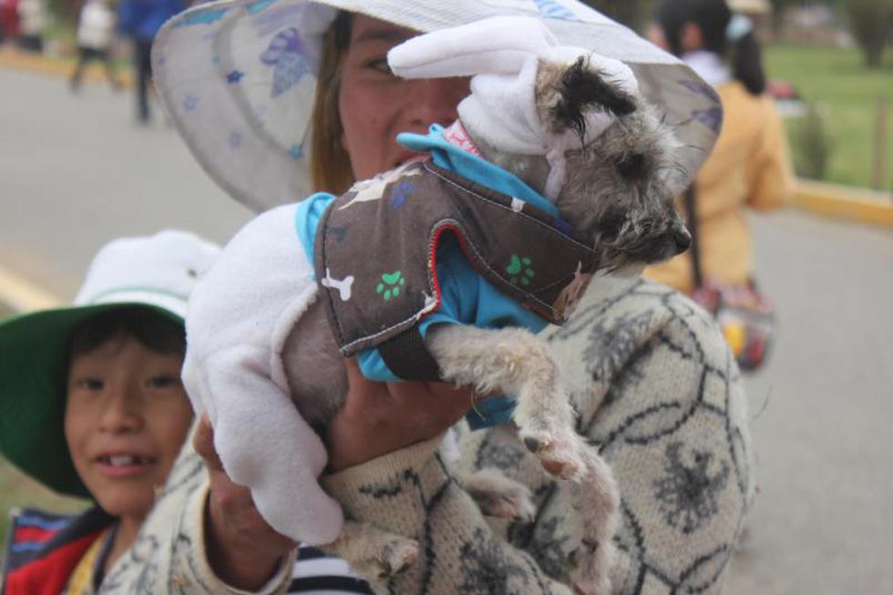 Una competencia  llena de 'amores perros' (FOTOS)