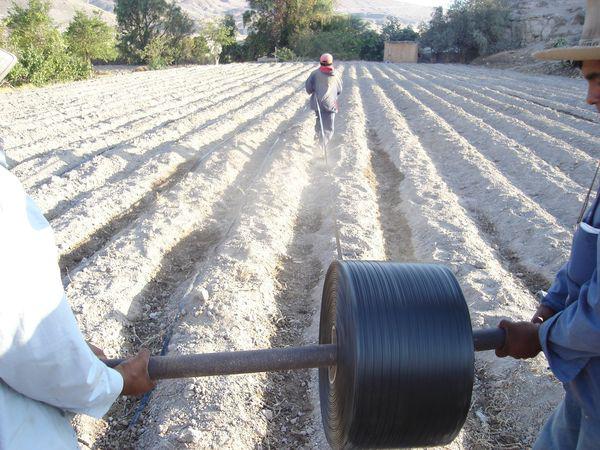 Destinan S/ 14 millones para obras de riego