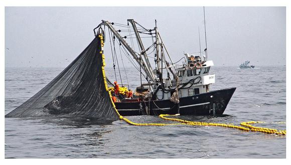 Segunda temporada de pesca de anchoveta se reiniciará el domingo 7 de enero
