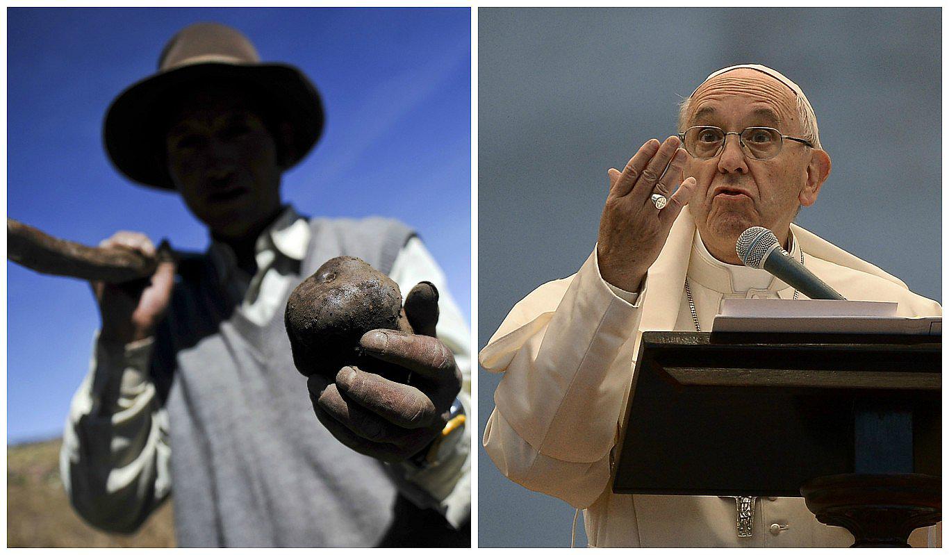 Papa Francisco pide atender a los pequeños productores que sufren cambio climático 