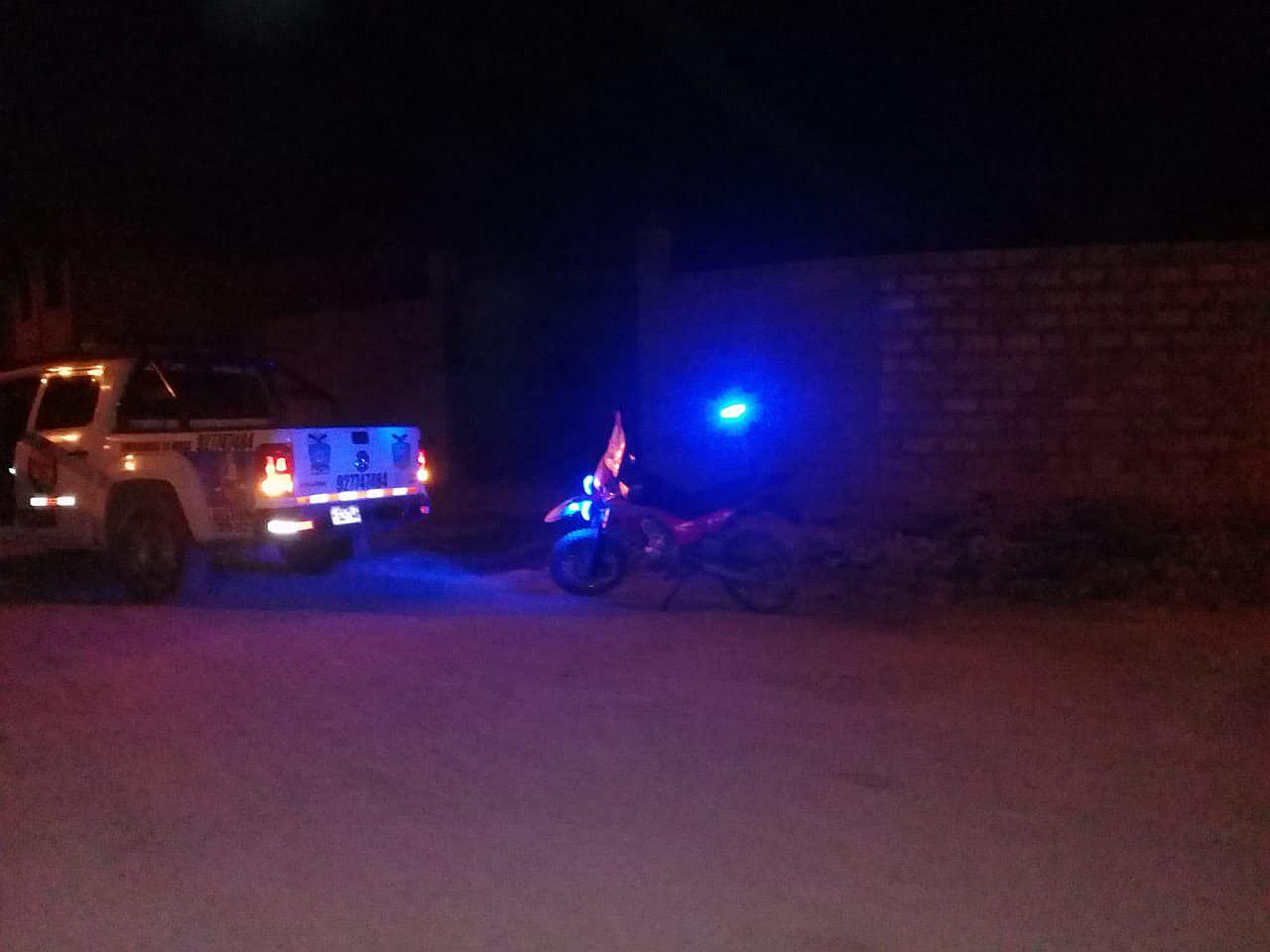 Perros salvajes devoran tres ovejas en comunidad de Ilave