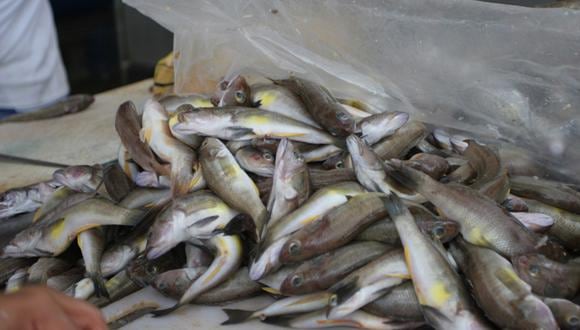 Piura: Incautan más de tres toneladas de pescado en mal estado