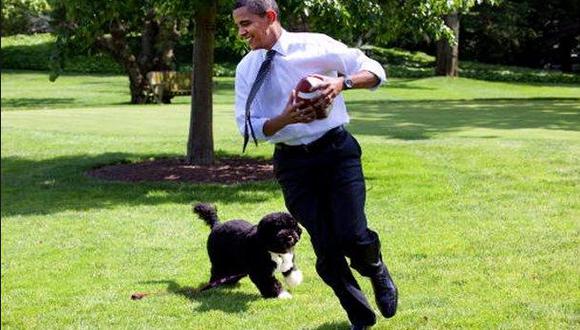Detienen a un hombre que planeaba secuestrar a un perro de los Obama
