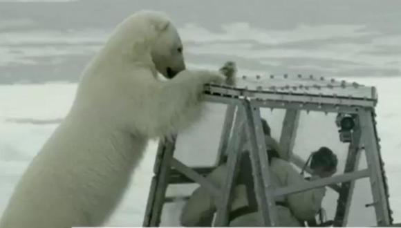 El terrorífico momento en que un camarógrafo es atacado por un oso polar