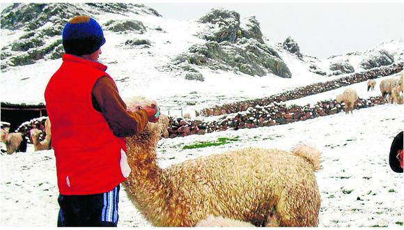 Heladas empiezan a congelar a pobladores de la  región Junín