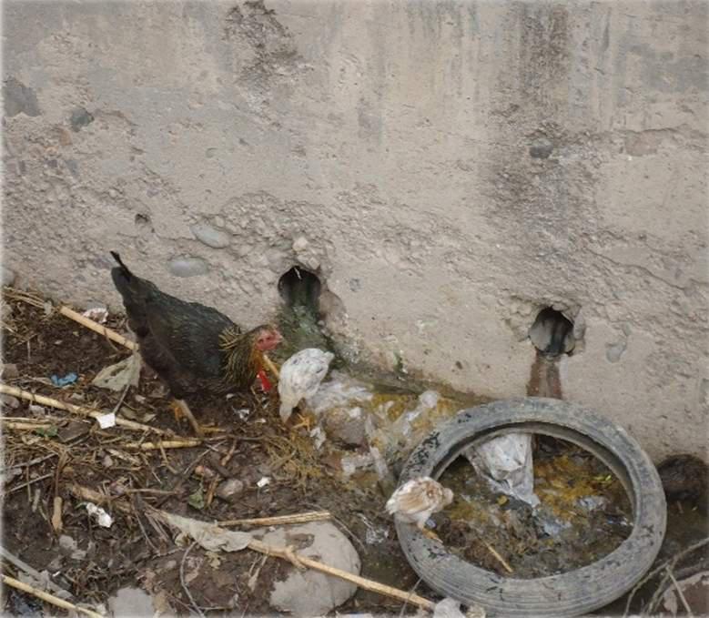 Contaminación en río Alameda