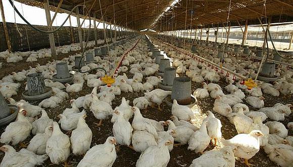 La importación de aves y huevos de Tennessee y Wisconsin quedó suspendida