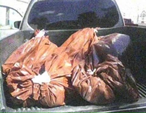 Cuatro jóvenes mueren al inhalar monóxido de carbono