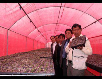 Ayacucho: primer productor de durazno