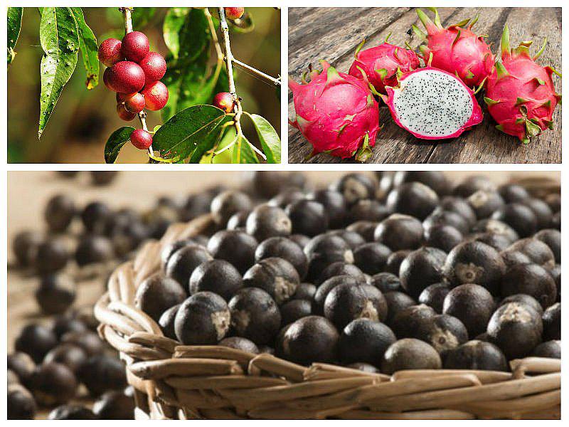 Regiones de la selva pueden aprovechar consumo creciente de frutas exóticas en Asia