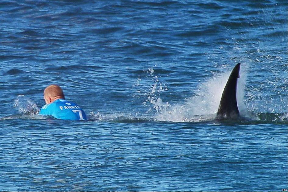 Así fue el impresionante escape de un surfista atacado por un tiburón (VIDEO)