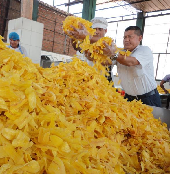 Chifles piuranos rumbo  a feria "Mistura 2012"