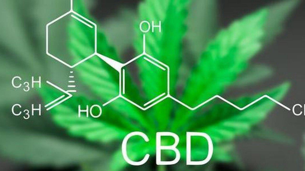 Neuroprotector cannábico ayudaría a curar lesiones de médula ósea y craneal