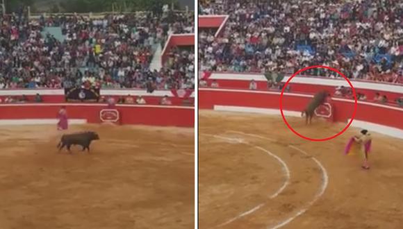 Toro salta muro de seguridad de ruedo y ataca a espectadores en Cajamarca (VÍDEO)