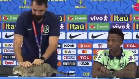 Un gato se robó la atención en conferencia de prensa de Vinícius Júnior. Foto: Captura de pantalla de TNT Sports.
