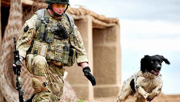 Perro recibe medalla póstuma como héroe de guerra en Afganistán