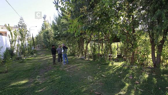 Municipalidad de Arequipa obliga a vecinos a talar más de 200 árboles