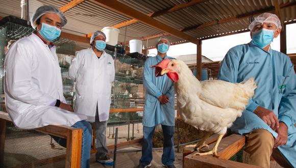 El doctor Manolo Fernández (derecha) y el equivo de FARVET. Al centro, "Esperanza", la gallina de los huevos de oro. (FOTO: Luis Miranda).
