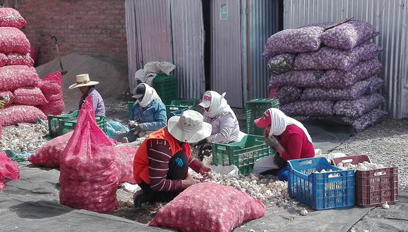 La sobreproducción de ajo en China generó la caída de precios en Perú