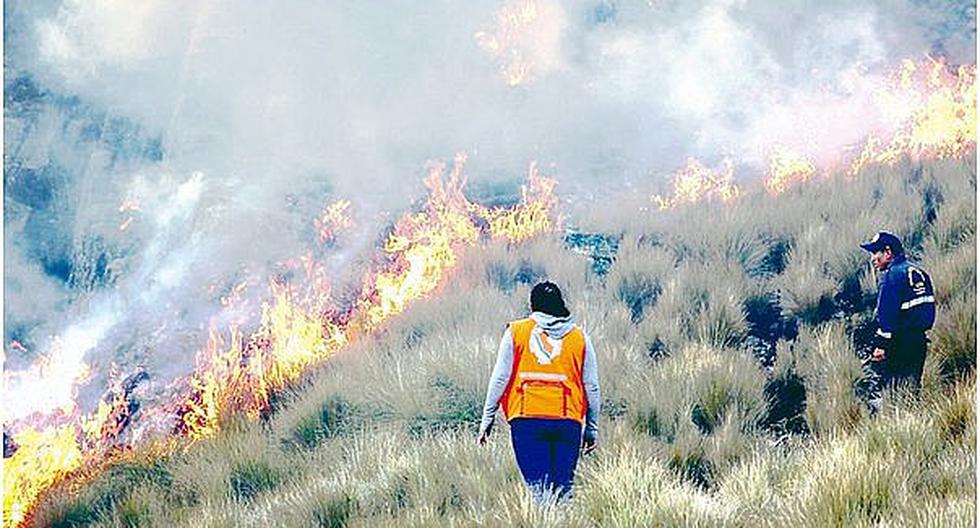 Un total de 128 incendios forestales se registraron en Perú solo desde