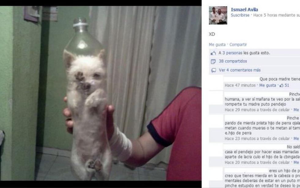 Sujeto que metió perro dentro de una botella causa indignación en México