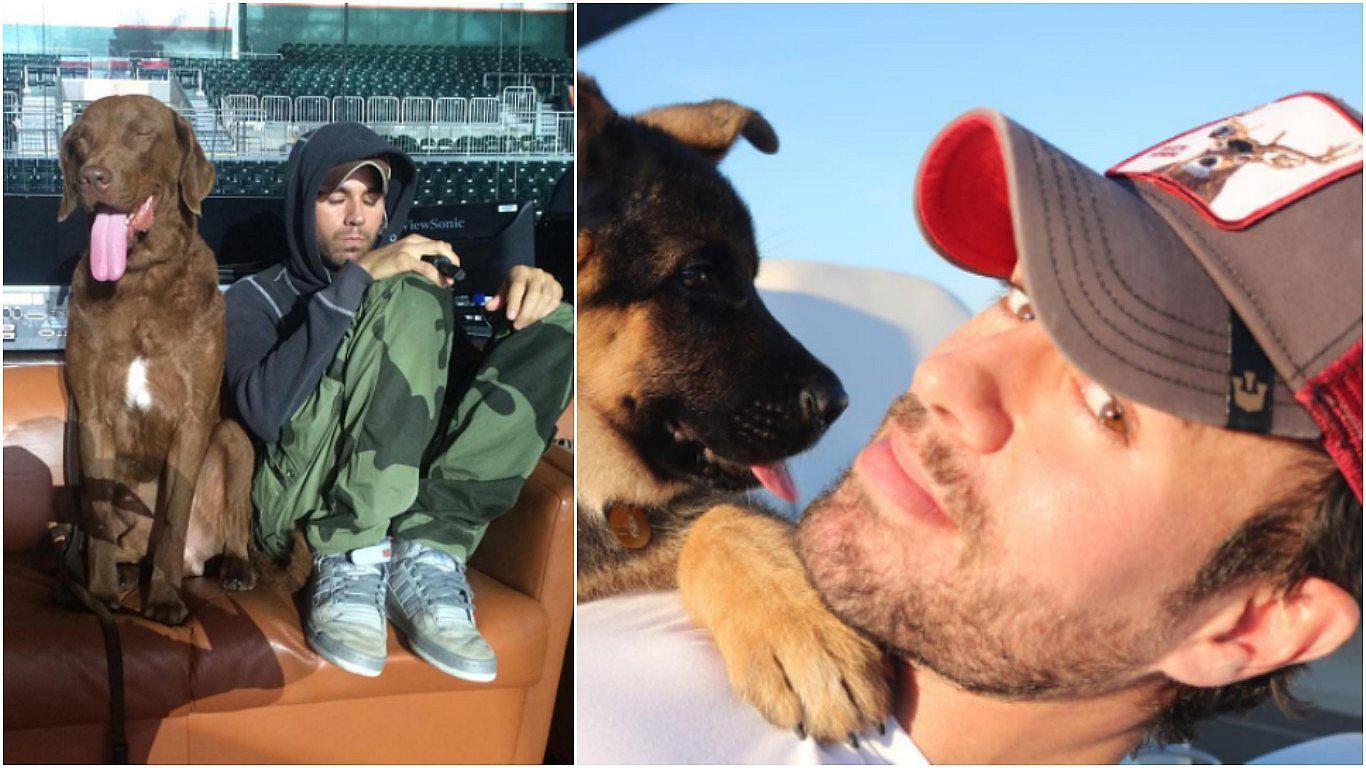 Enrique Iglesias y el vergonzoso momento que vivió por su perro (VIDEO)