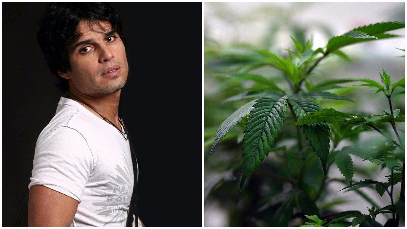 ​Pedro Suárez Vértiz pide legalizar el aceite de marihuana