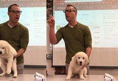 Un profesor amenaza a sus alumnos con matar a un perro si no ganan un concurso 