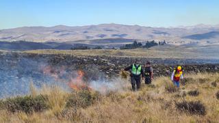 Policías y vecinos controlan incendio forestal en Arequipa