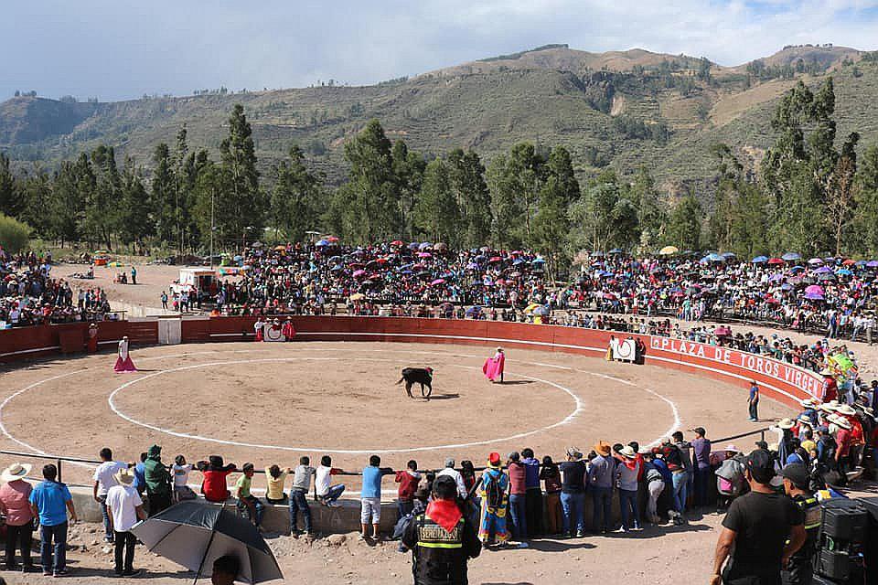 Evalúan proponer ordenanza que prohíba la corrida toros en Ayacucho