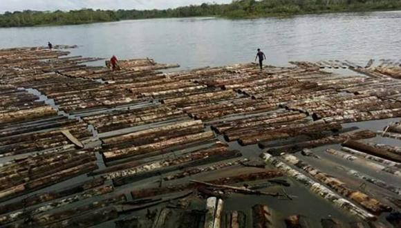 ​Recuperan 7 millones de pies tablares producto de la tala de árboles (FOTOS)