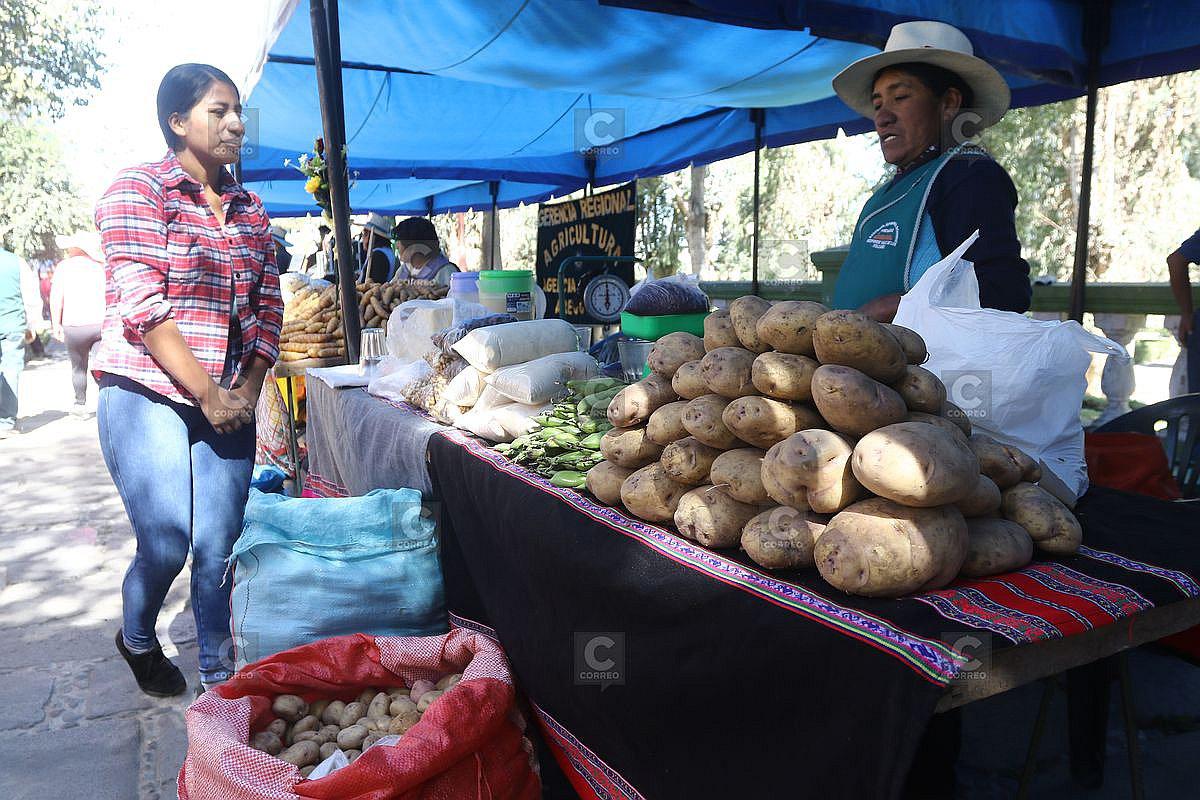 60 variedades de papa se exhibieron en festival 