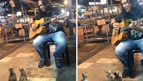 ​Músico callejero capta la atención de cuatro tiernos gatitos (VIDEO)