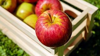 Cómo mantener las manzanas por más días sin que se estropeen 