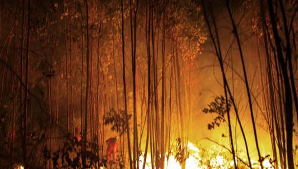 Argentina: Miles de hectáreas destruidas por numerosos incendios forestales