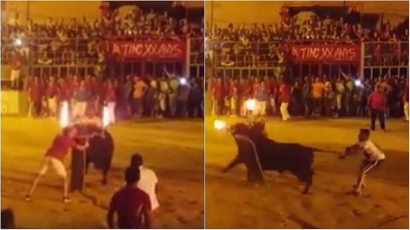 Facebook: prenden fuego a cuernos de toro durante festejo y desata indignación (VIDEO)