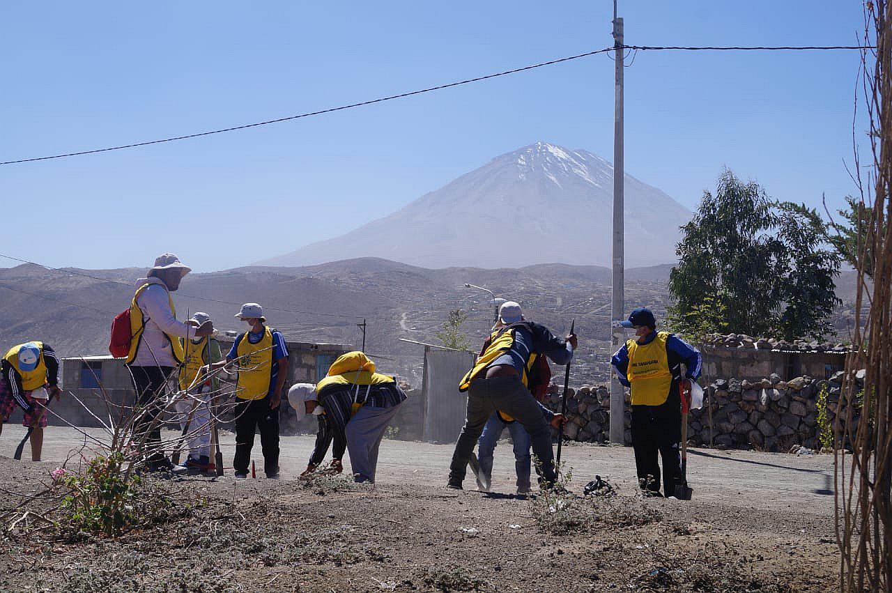 Sentenciados siembran mil plantas en Alto Selva Alegre