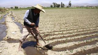 Inicia entrega de bono sequía para agricultores que perdieron hectáreas