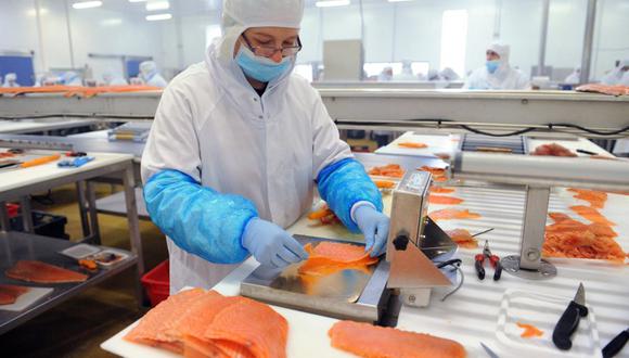 Foto referencial. El ácido omega-3 lo encontramos principalmente en el pescado azul, que incluye el salmón, la sardina o el boquerón. (FRED TANNEAU / AFP)