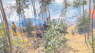 Región Áncash soportó 54 incendios forestales en lo que va del año