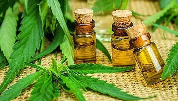 Pacientes esperan reglamento del cannabis medicinal