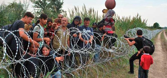 Más de 3.200 migrantes llegaron a Hungría, un nuevo récord