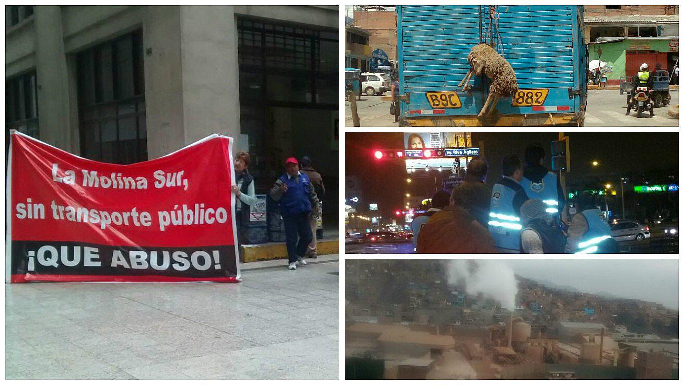 Vecinos de La Molina exigen buses públicos para la zona sur de ese distrito