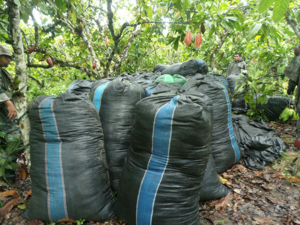 Decomisan 46 sacos con hoja de coca en operativo
